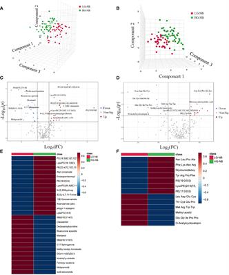 Metabolomics-transcriptomics joint analysis: unveiling the dysregulated cell death network and developing a diagnostic model for high-grade neuroblastoma